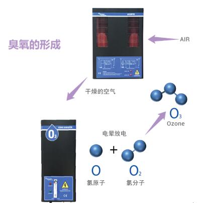 1732766215307444.jpg 泳池水消毒-2.jpg